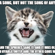 Illustration for article titled Delve Into The Hidden Horrors Of The Universe... With Kittens